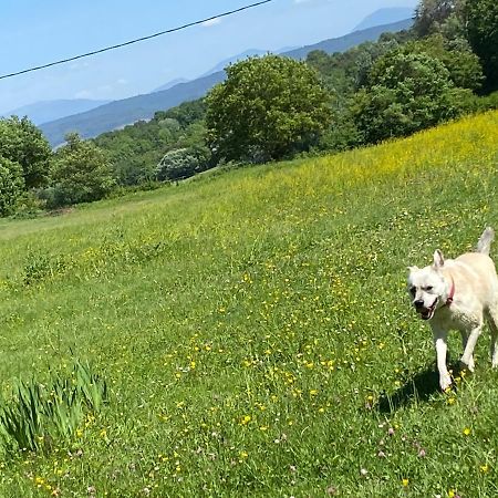 Gite Cocotte Luberon, Forcalquier Pierrerue  Exterior foto