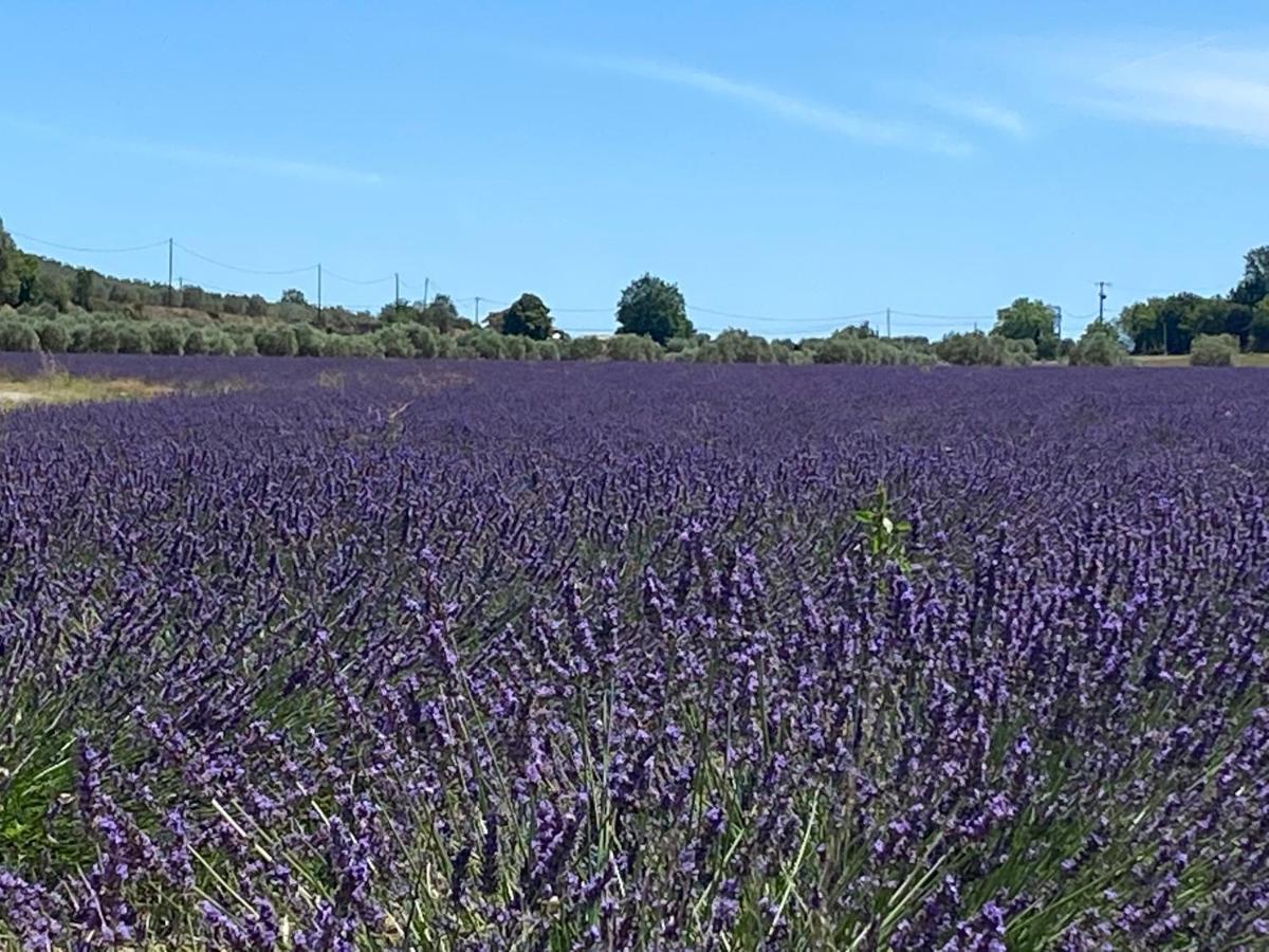 Gite Cocotte Luberon, Forcalquier Pierrerue  Exterior foto